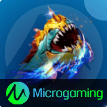 MicroGaming